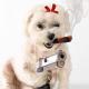 [obrazky.4ever.sk]-pes,-pistol,-cigara,-gangster-7054492.jpg